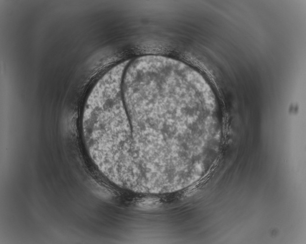 X0000097590162200803280936