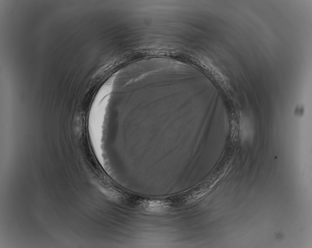 X0000097590165200803280936