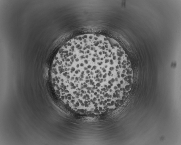 X0000097590166200803280936