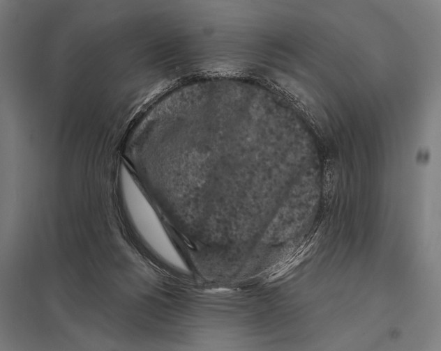 X0000097590168200803280936