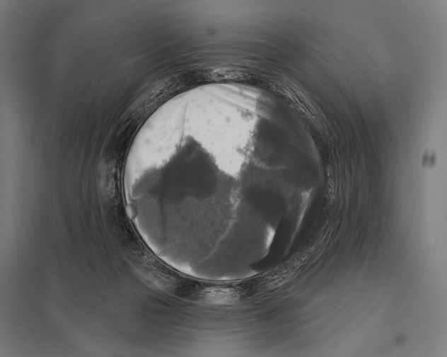 X0000097590169200803280936