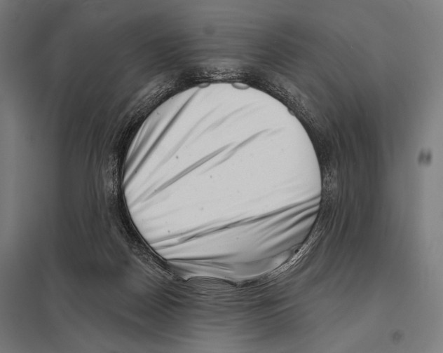 X0000097590170200803280936