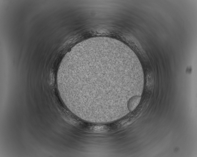 X0000097590173200803280936