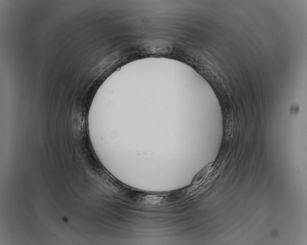 X0000097590176200803280936