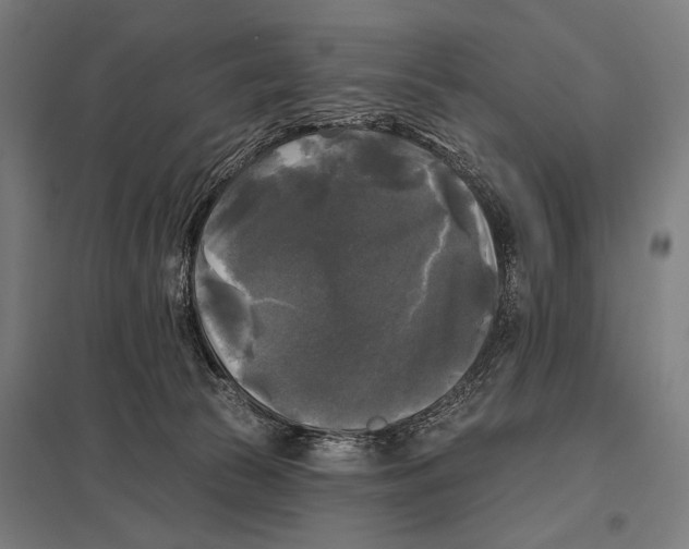 X0000097590177200803280936