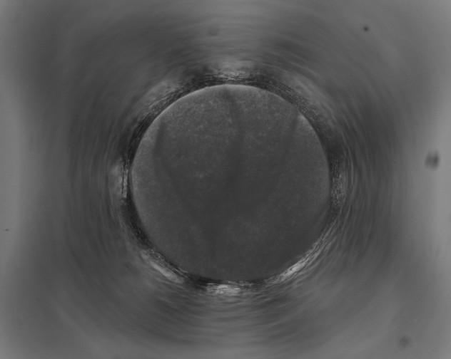 X0000097590180200803280936