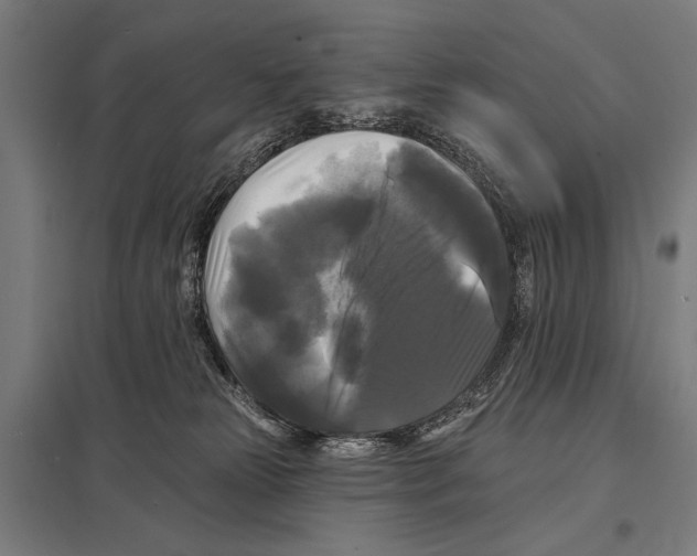 X0000097590181200803280936