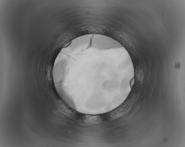 X0000097590185200803280936