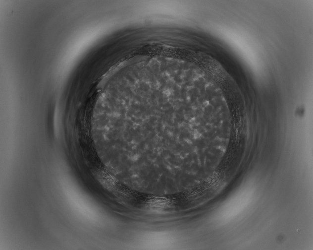 X0000097590189200803280936