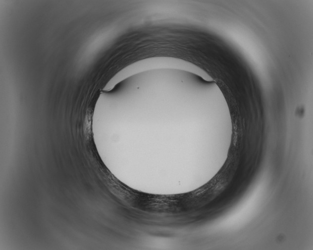 X0000097590190200803280936