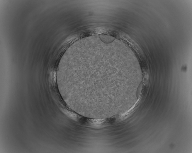 X0000097590191200803280936