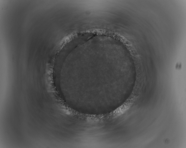 X0000097590192200803280936