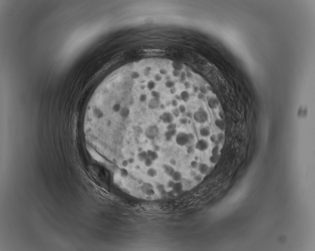 X0000097590194200803280935