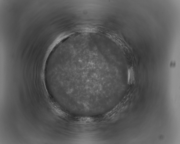 X0000097590195200803280935