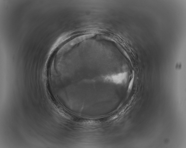 X0000097590198200803280935