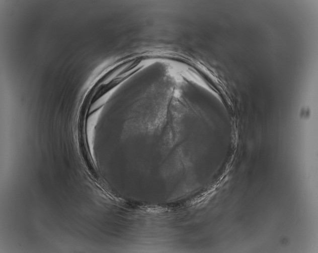 X0000097590199200803280935