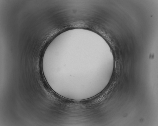 X0000097590201200803280935