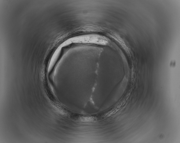 X0000097590202200803280935