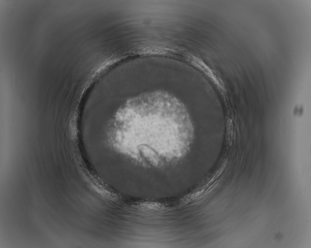 X0000097590203200803280935