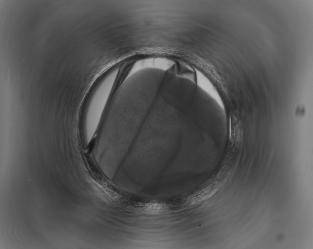 X0000097590204200803280935