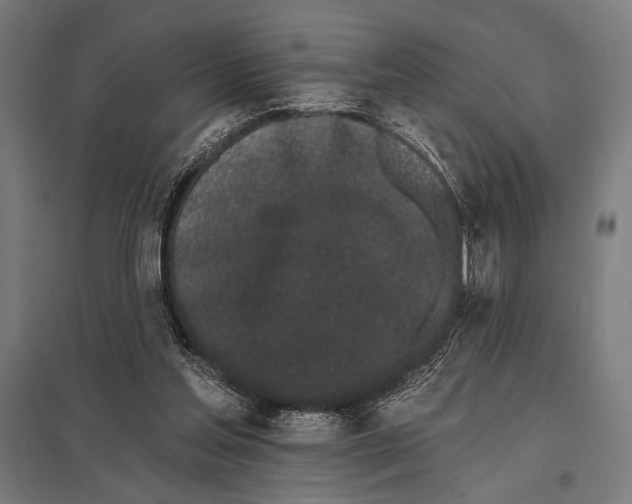 X0000097590205200803280935