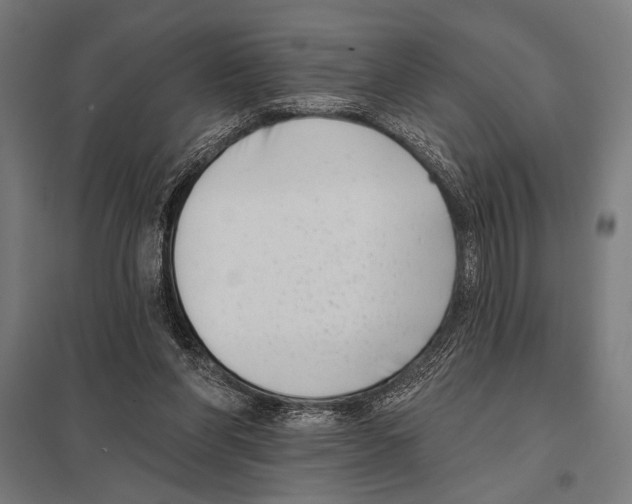 X0000097590206200803280935