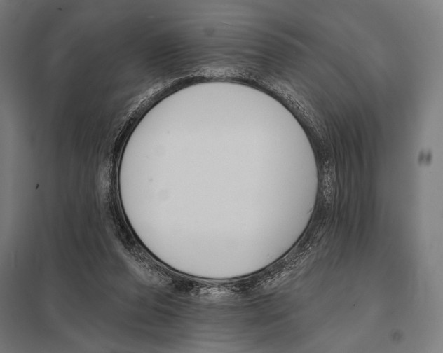 X0000097590208200803280935