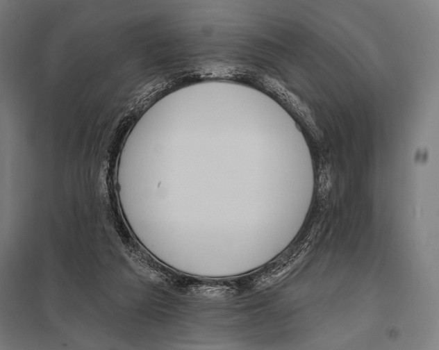 X0000097590209200803280935