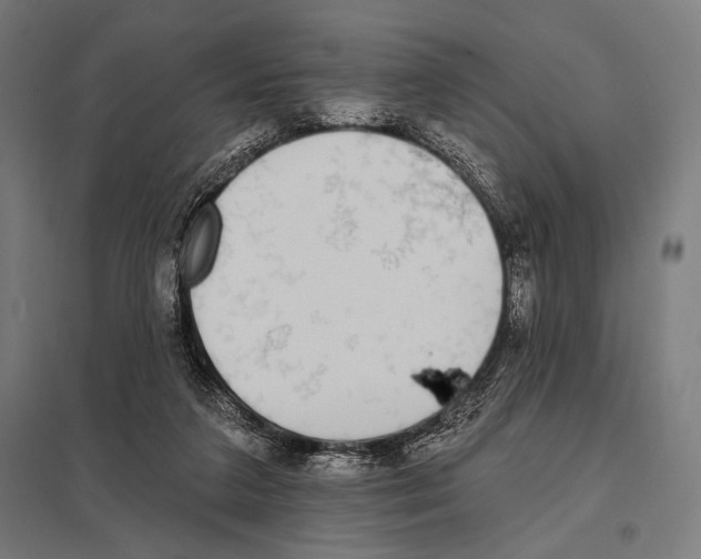 X0000097590211200803280935