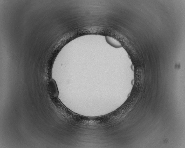 X0000097590212200803280935