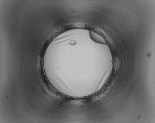 X0000097590213200803280935