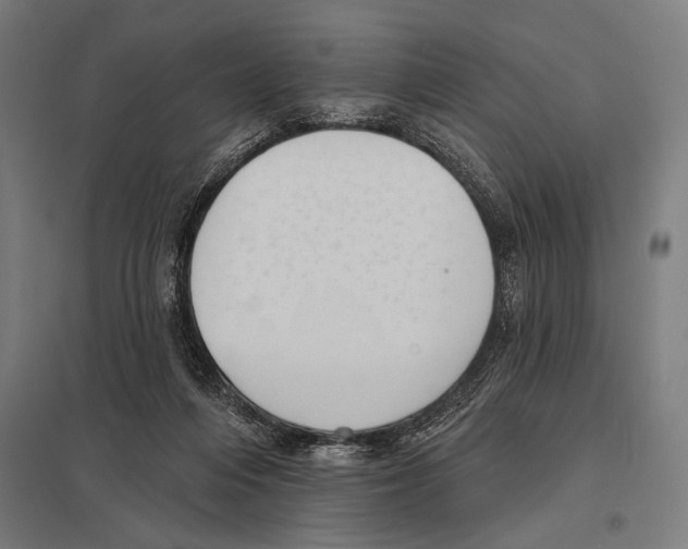 X0000097590216200803280935