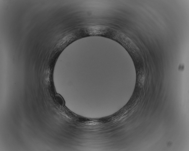 X0000097590219200803280935