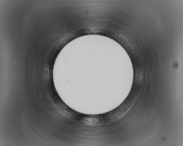 X0000097590220200803280935