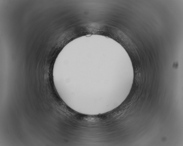 X0000097590221200803280935