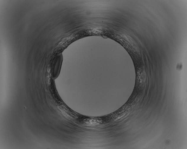 X0000097590223200803280935