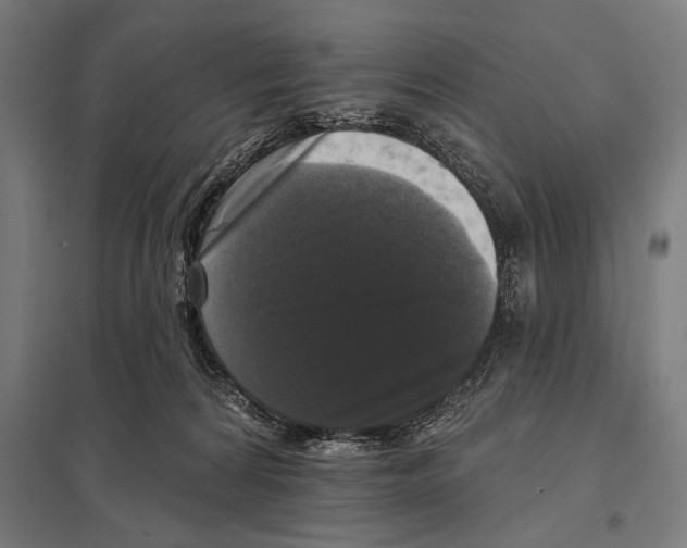 X0000097590224200803280935