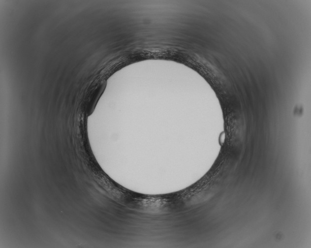 X0000097590225200803280935