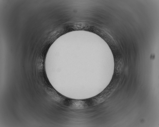 X0000097590226200803280935