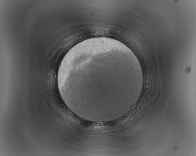 X0000097590228200803280935