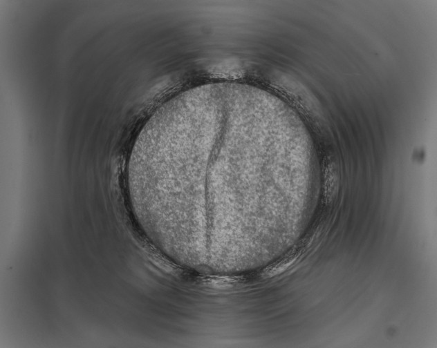 X0000097590229200803280935