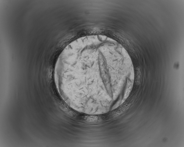 X0000097590230200803280935