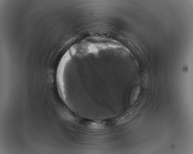 X0000097590232200803280935