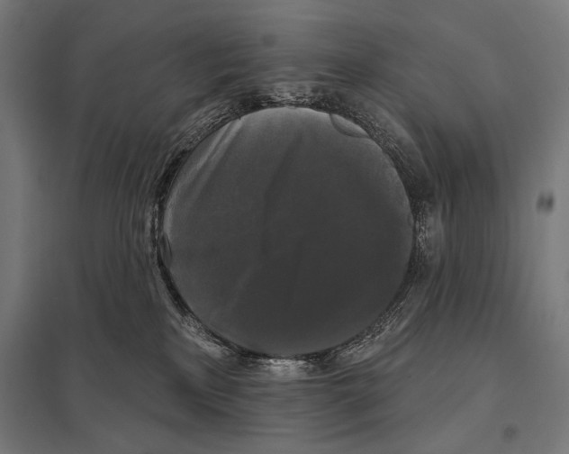 X0000097590233200803280935