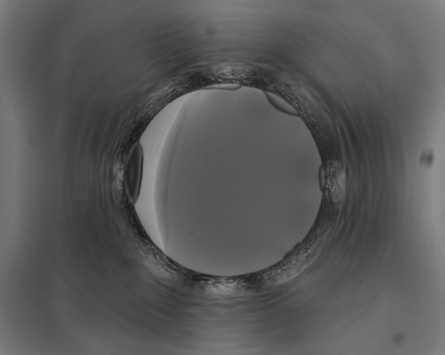 X0000097590235200803280935