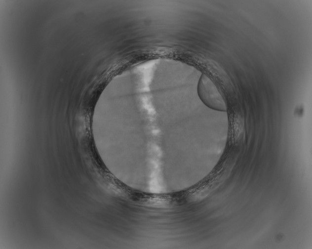 X0000097590236200803280935