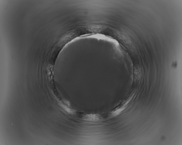 X0000097590237200803280935