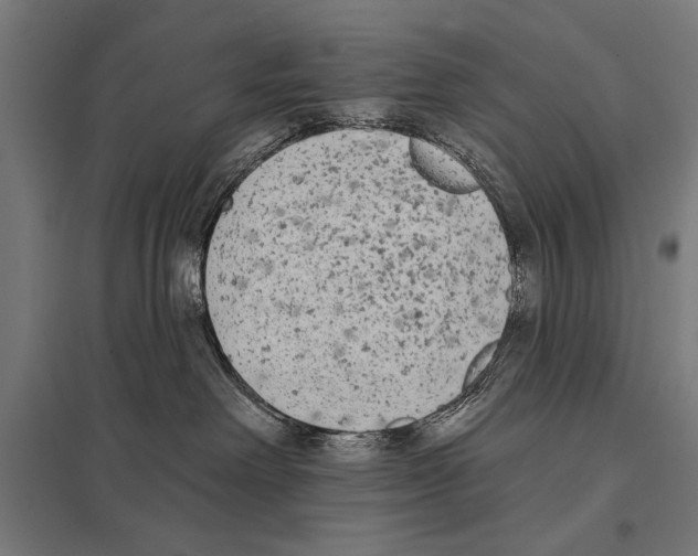 X0000097590238200803280935