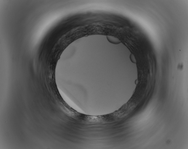 X0000097590239200803280935