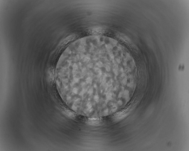 X0000097590240200803280935